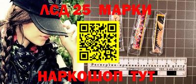 МДПВ Новодвинск