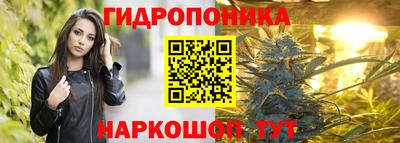 хмурый Новокубанск