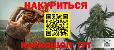 МДПВ Новодвинск
