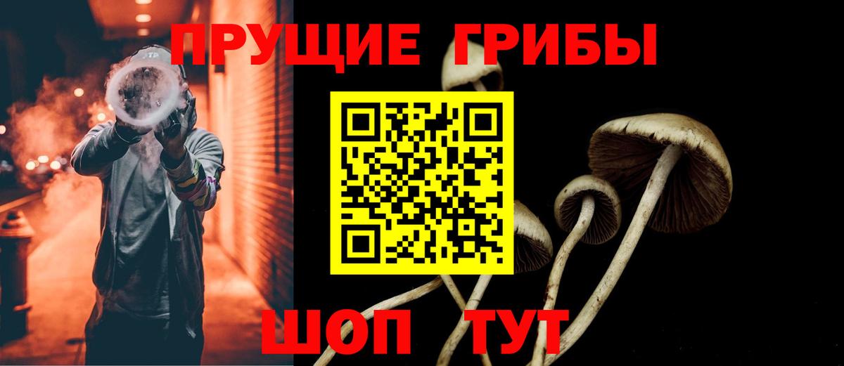 Псилоцибиновые грибы прущие грибы Сухой Лог